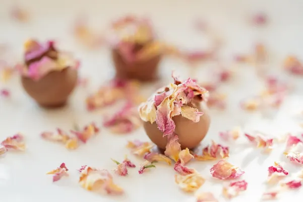 Kasino Haiti Win Apl Android/iOS